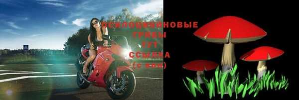 метадон Карпинск